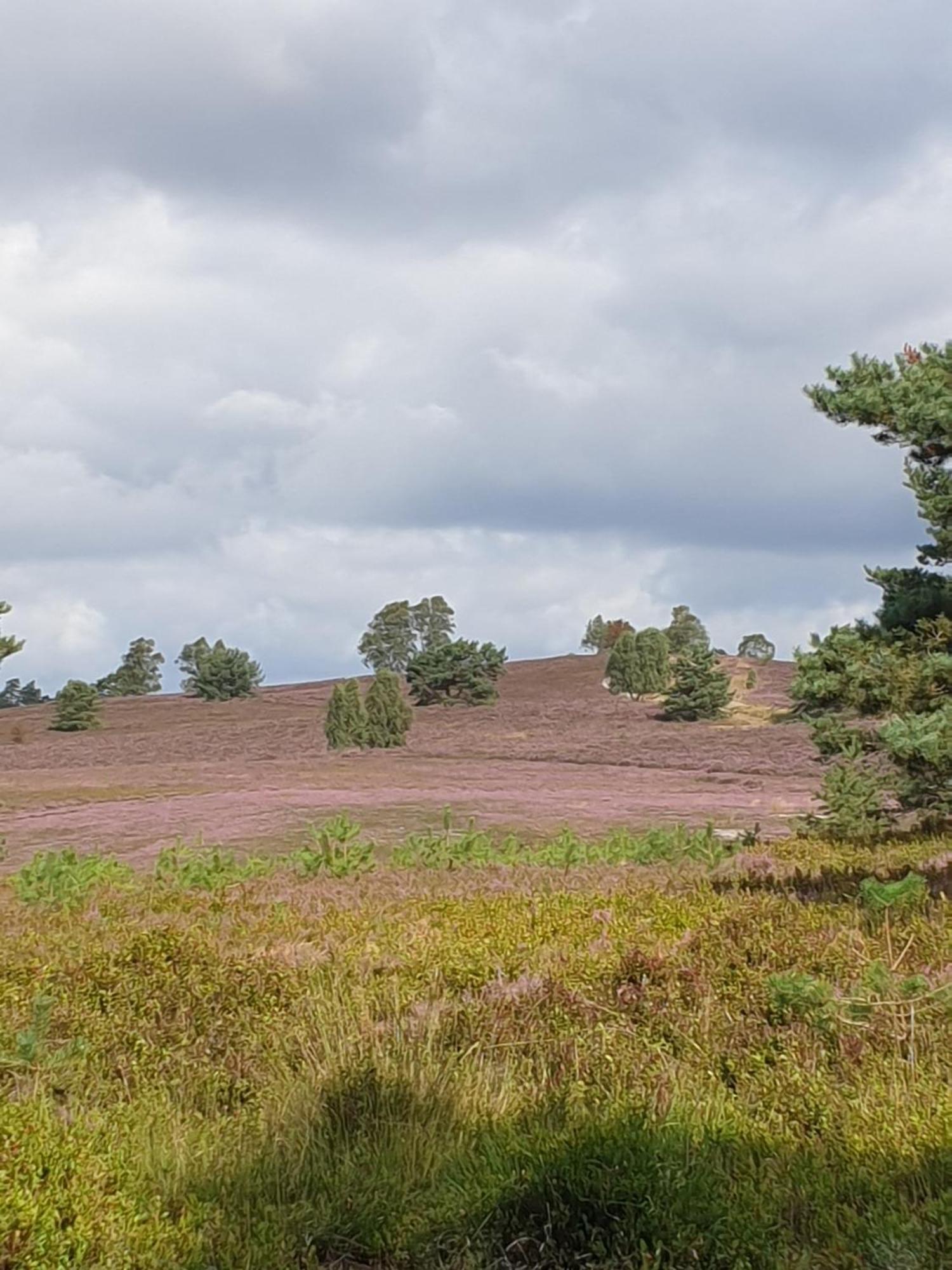 Likehome Suite Buchholz in der Nordheide Zewnętrze zdjęcie
